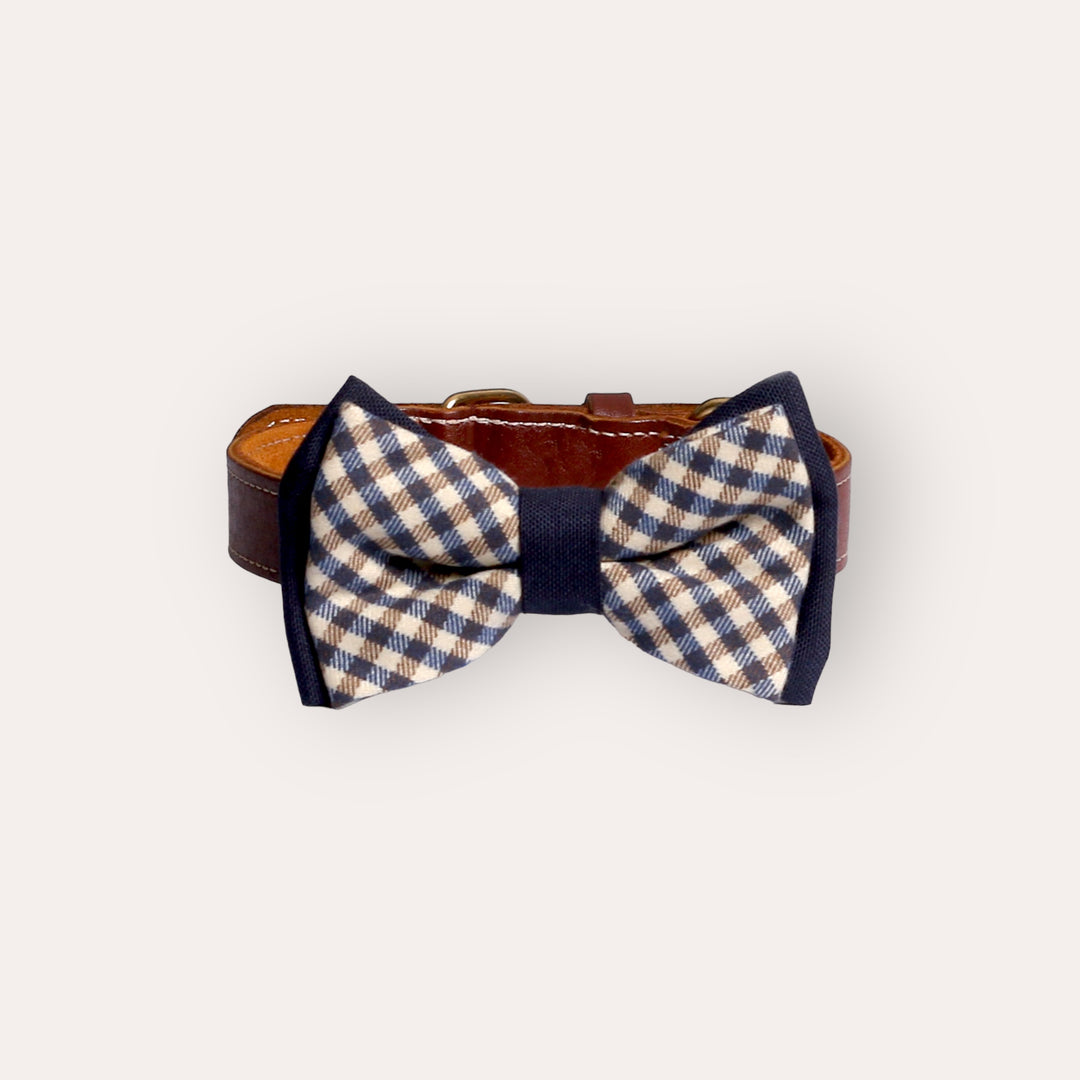 | Bow Tie | Mocha