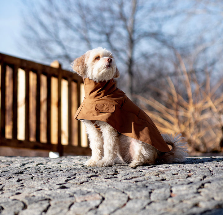 Trenchcoat | Cinnamon