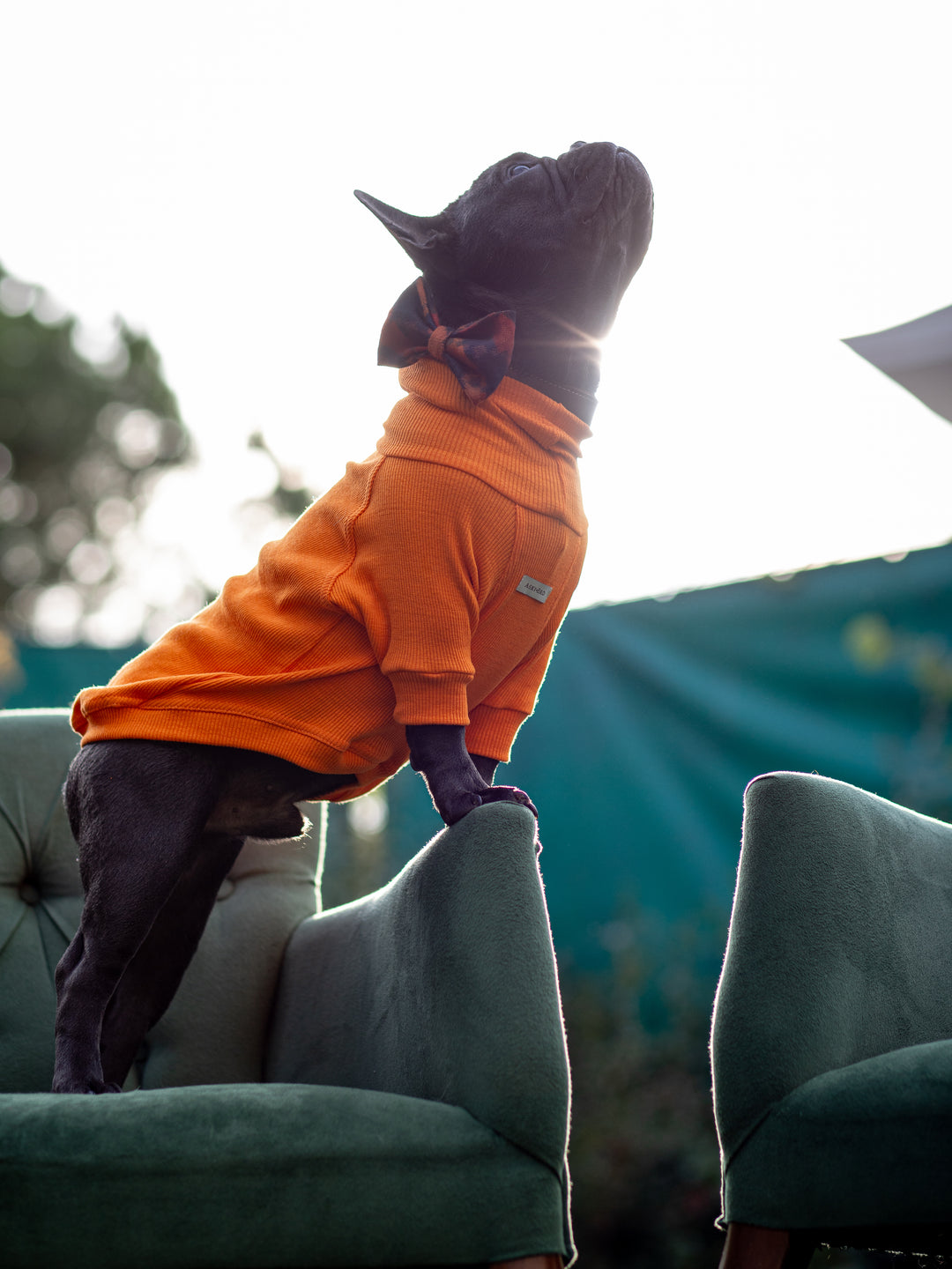 Turtleneck Tshirt | Tangerine