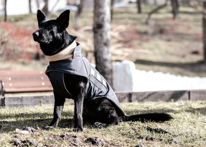 Extreme Wheather Coat | Anchor Grey