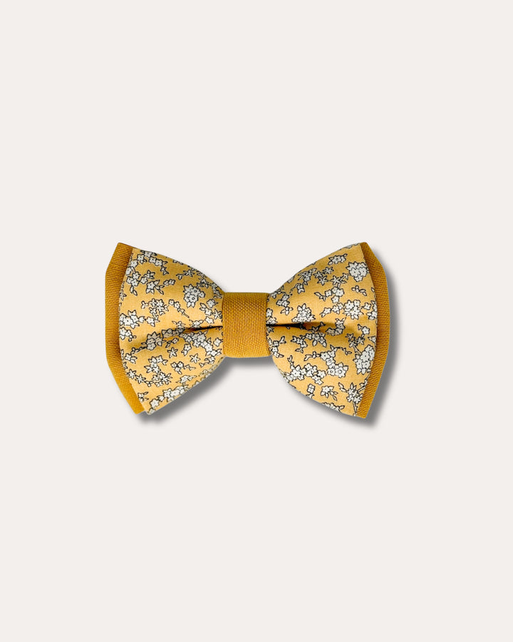 | Bow Tie | Bloomfield