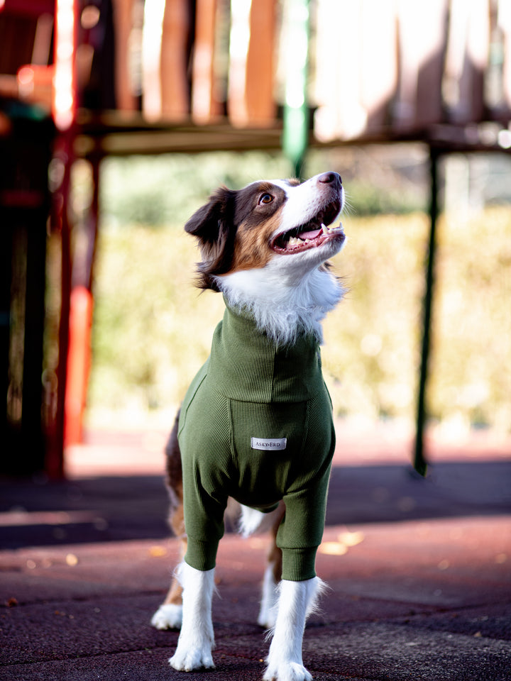 Turtleneck Tshirt | Olive Green