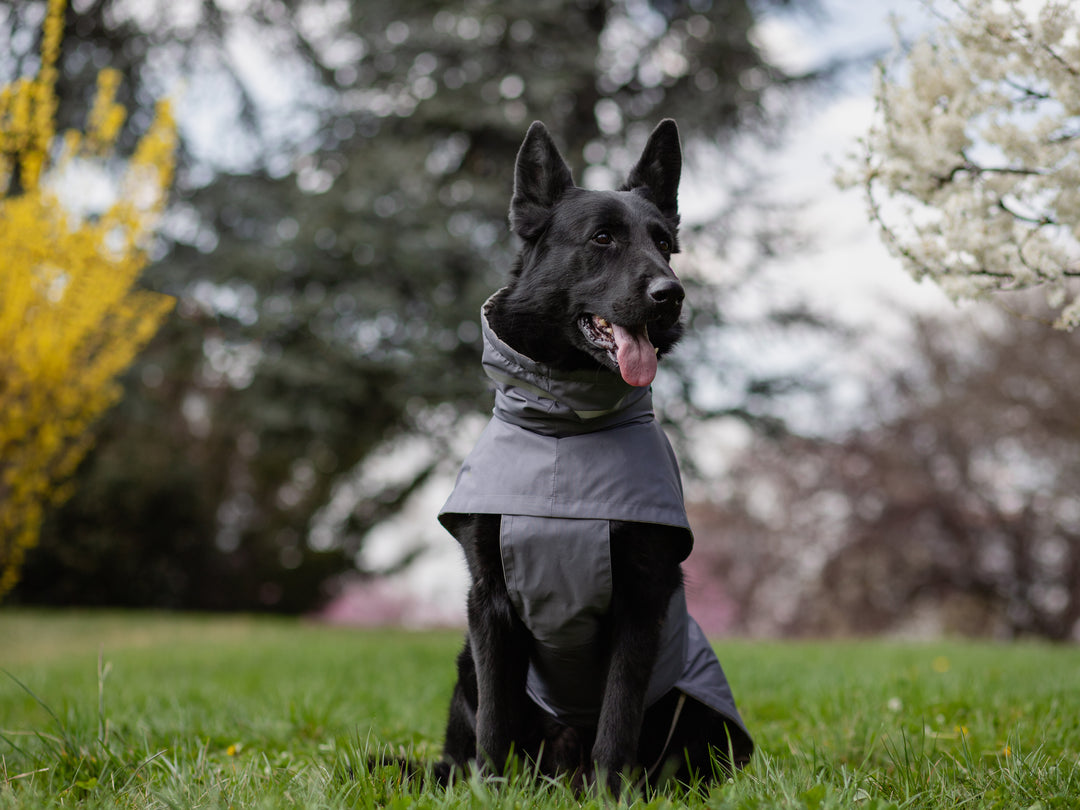 Raincoat | Steel Grey