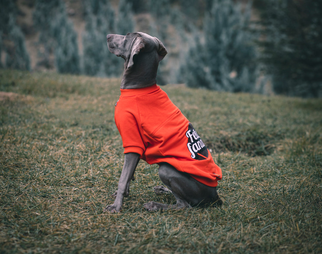 I am.. Sweatshirts Collection - Fetch Fanatic