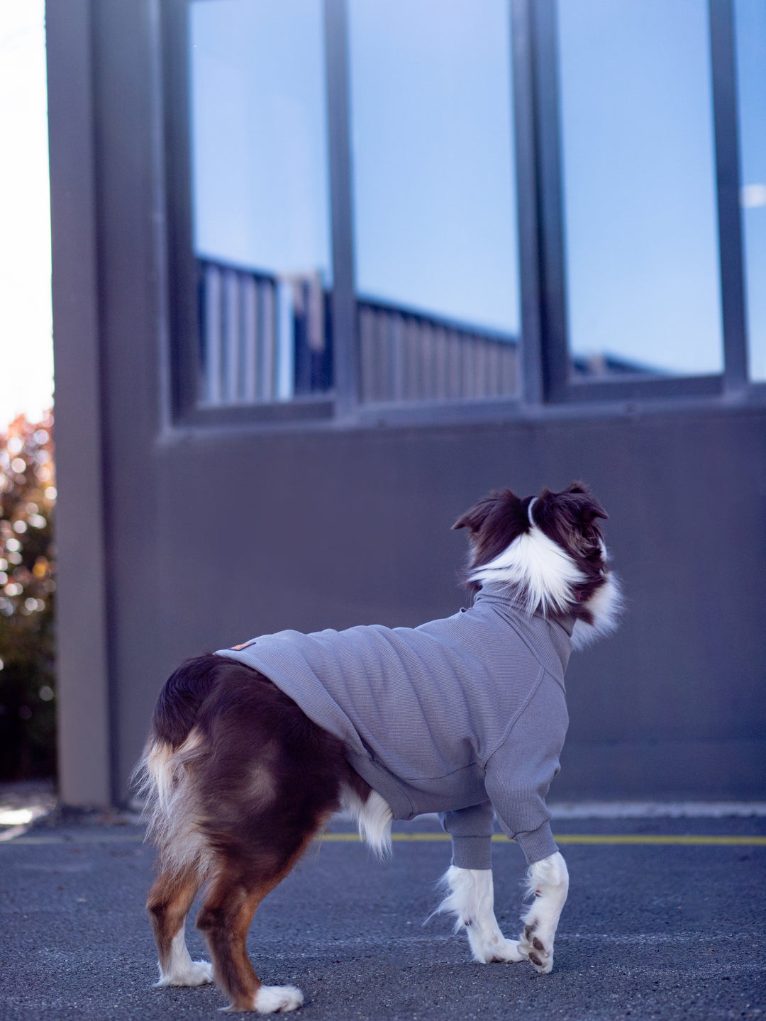 Turtleneck Tshirt | Coin