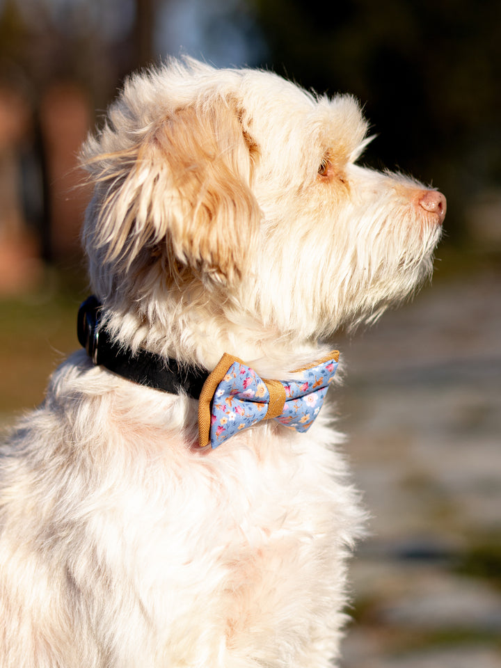 | Bow Tie | Sandy Flowers