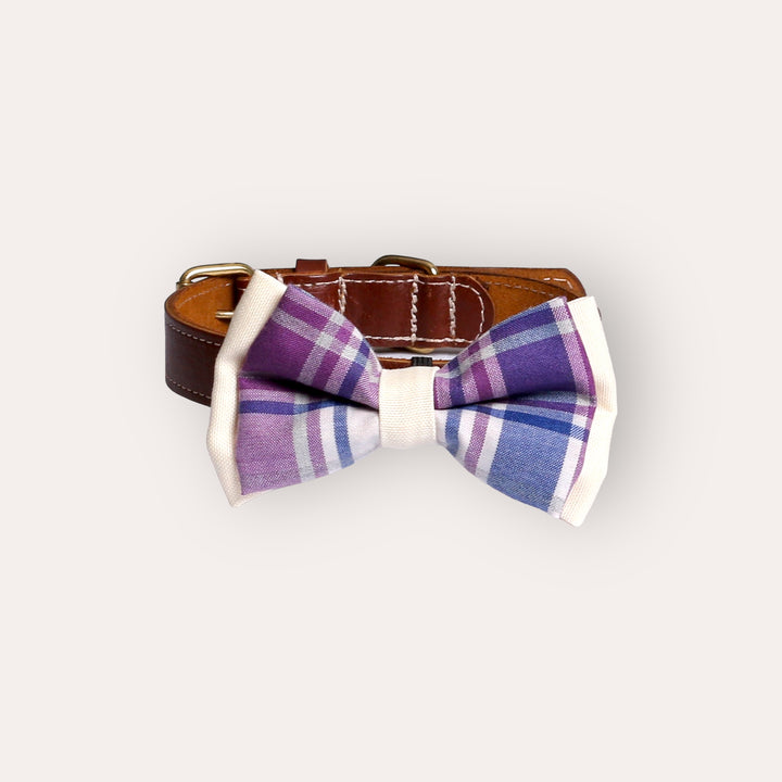 | Bow Tie | Lilac