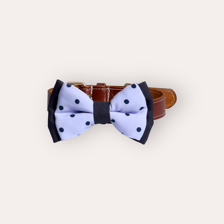 | Bow Tie | Navy Dots