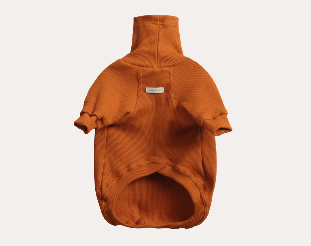 Turtleneck Tshirt | Cinnamon Glow