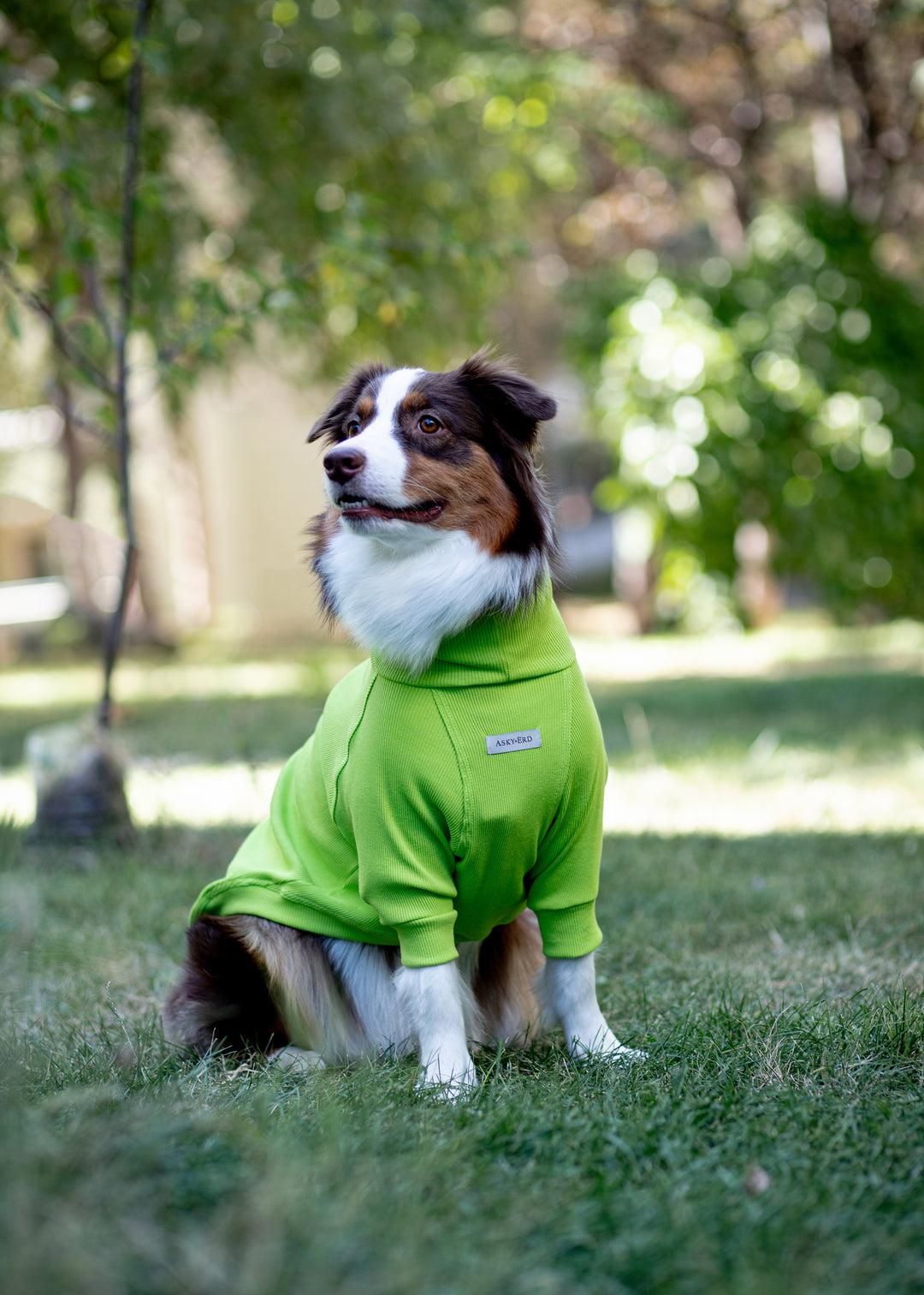 Turtleneck Tshirt | Lime