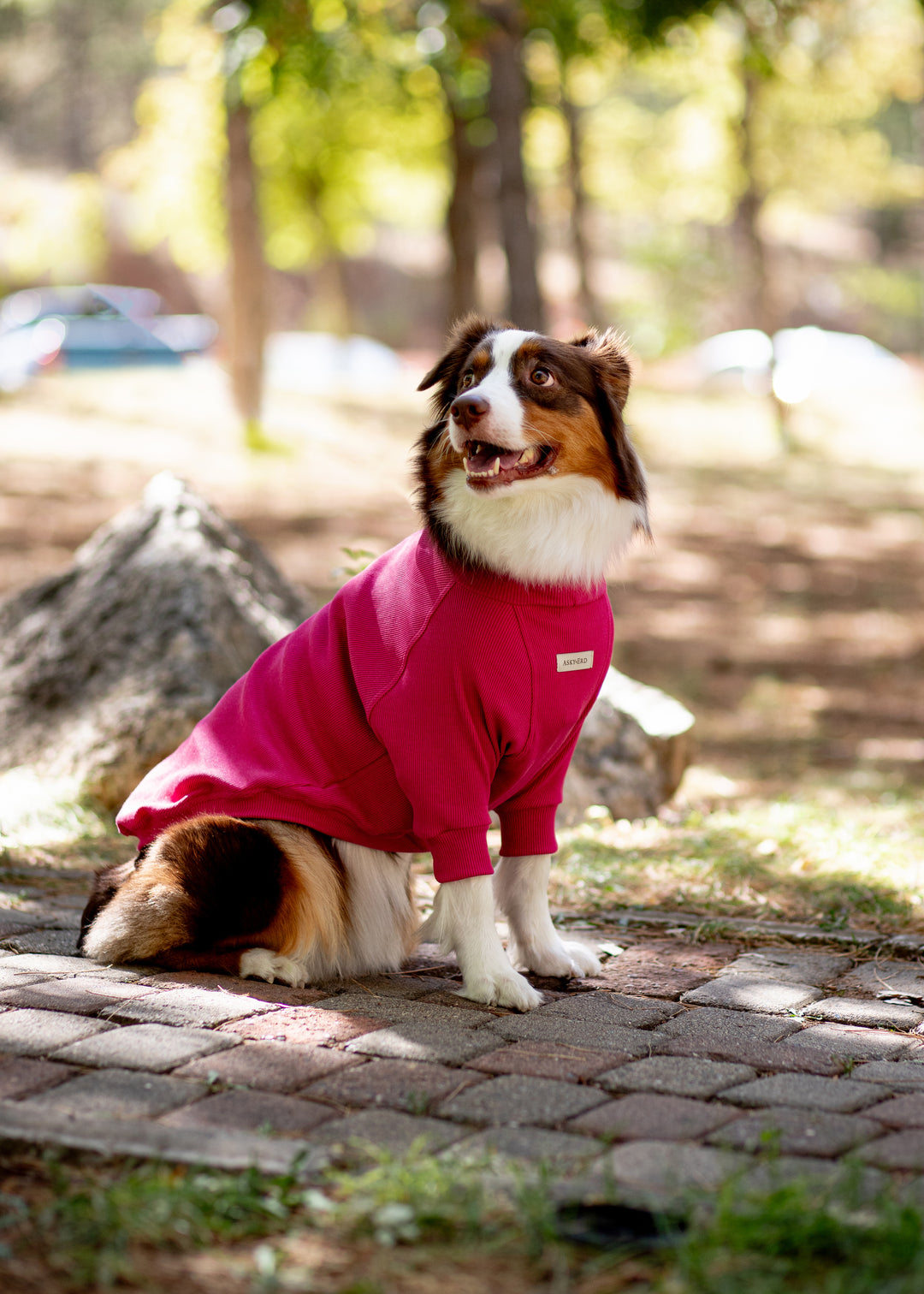 Turtleneck Tshirt | Magenta