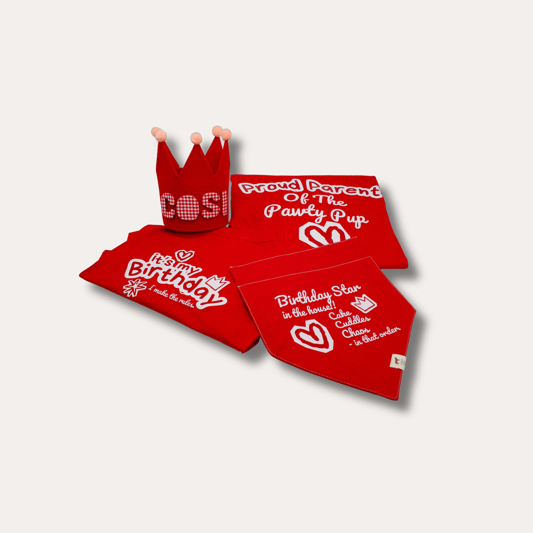 AskyxHuman | It’s My Birthday T-Shirt | Cherry Red