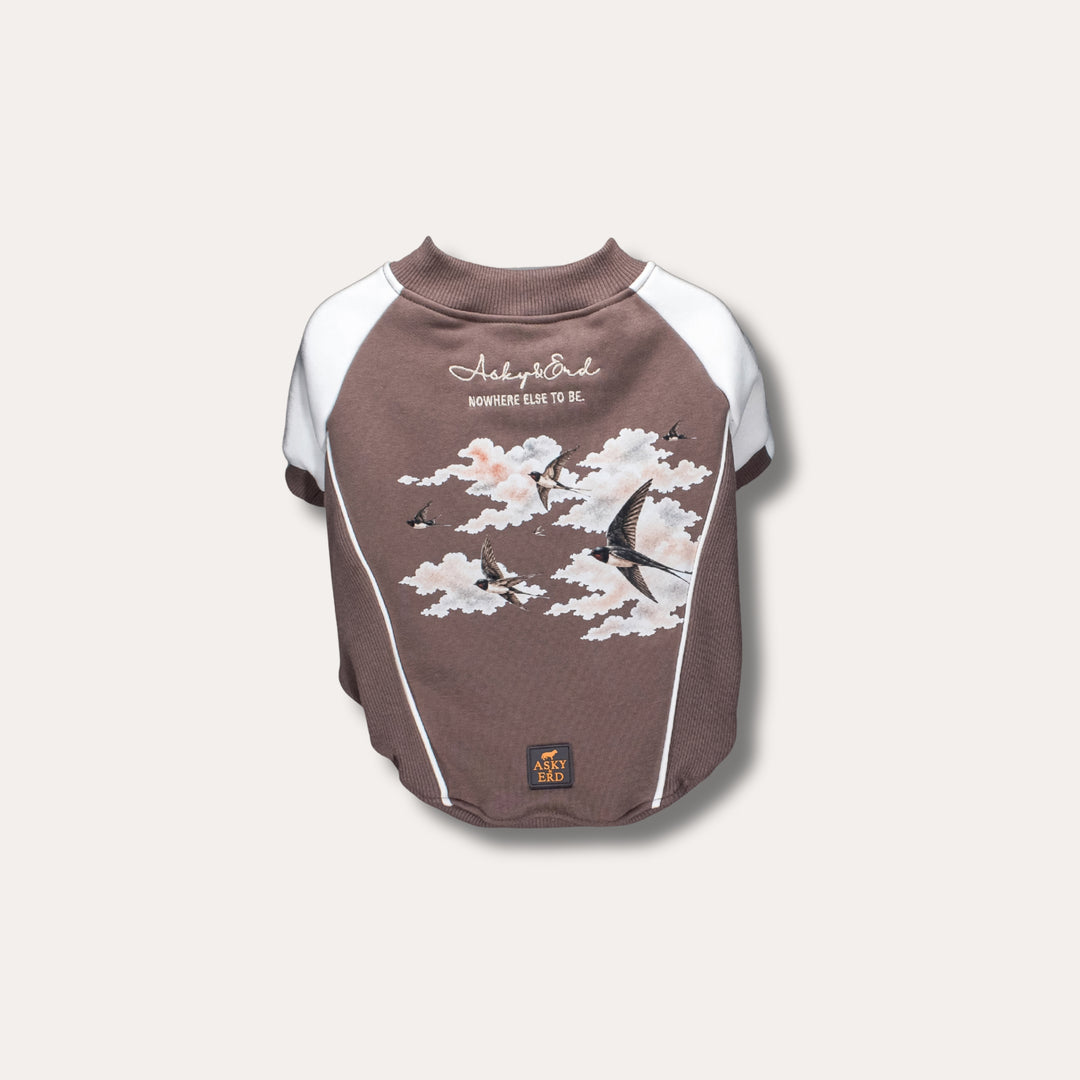Bomber Jacket | Swallows