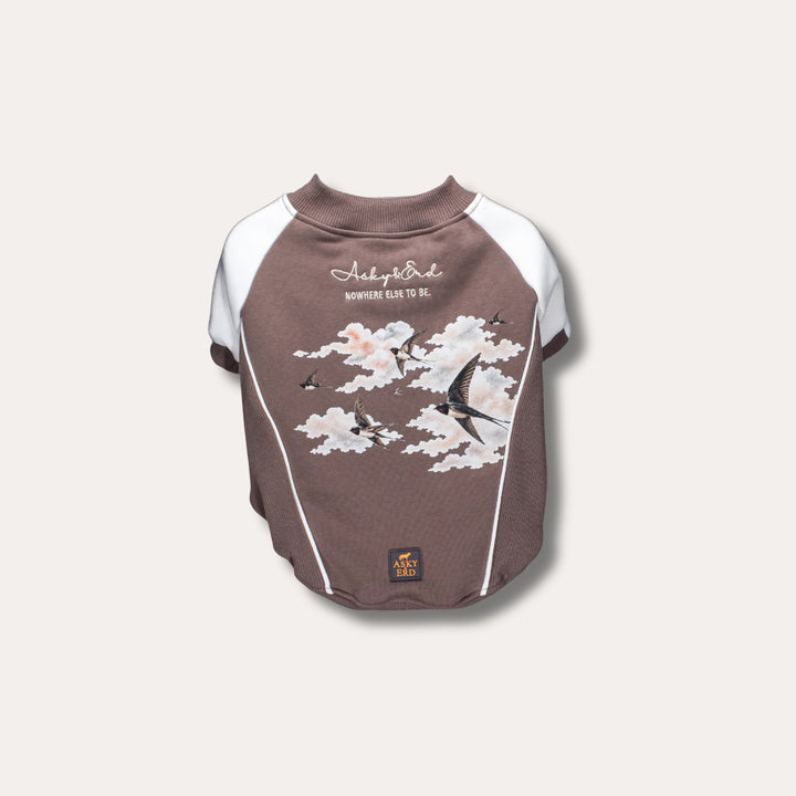 Bomber Jacket | Swallows