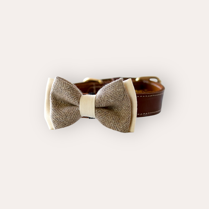 | Bow Tie | Latte