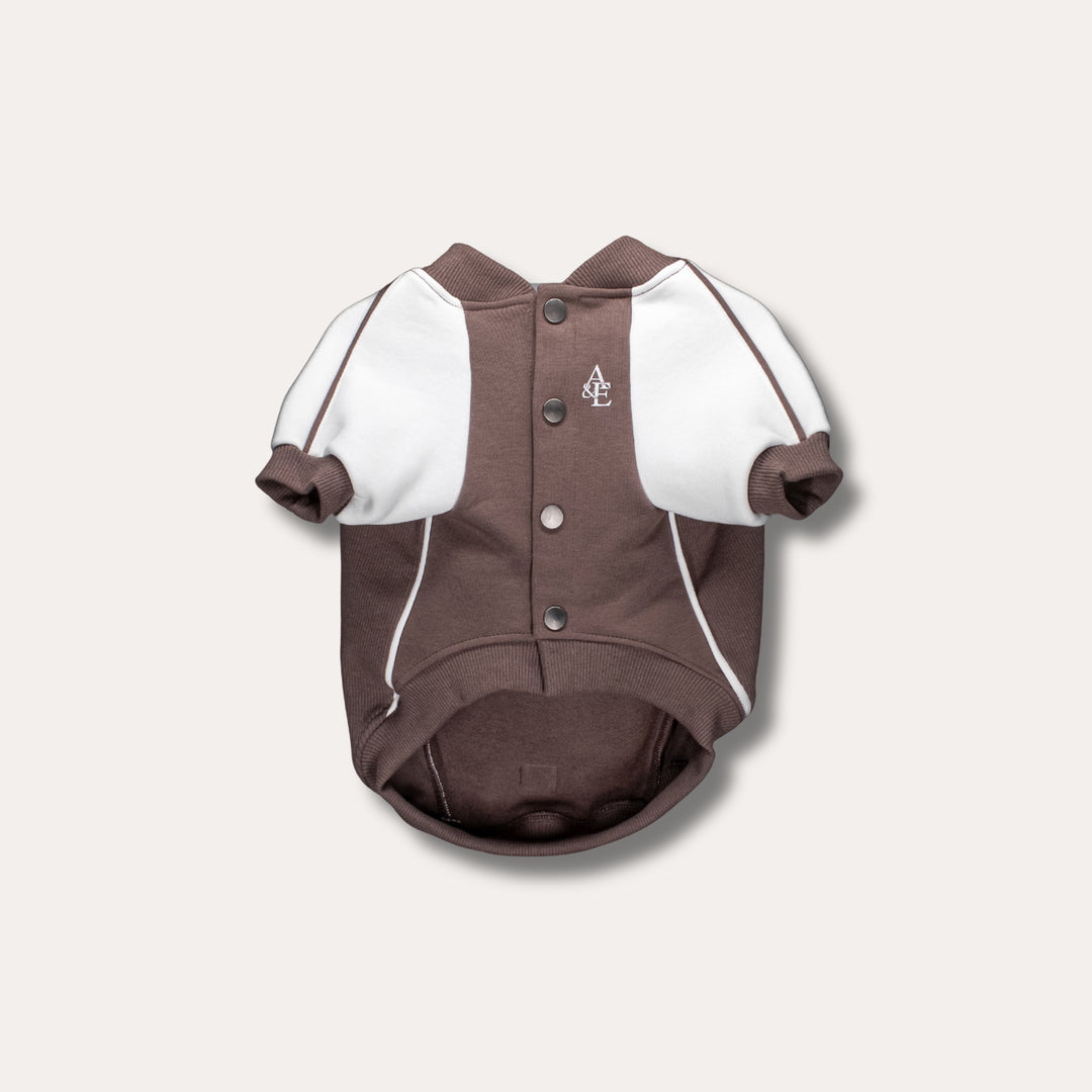 Bomber Jacket | Swallows