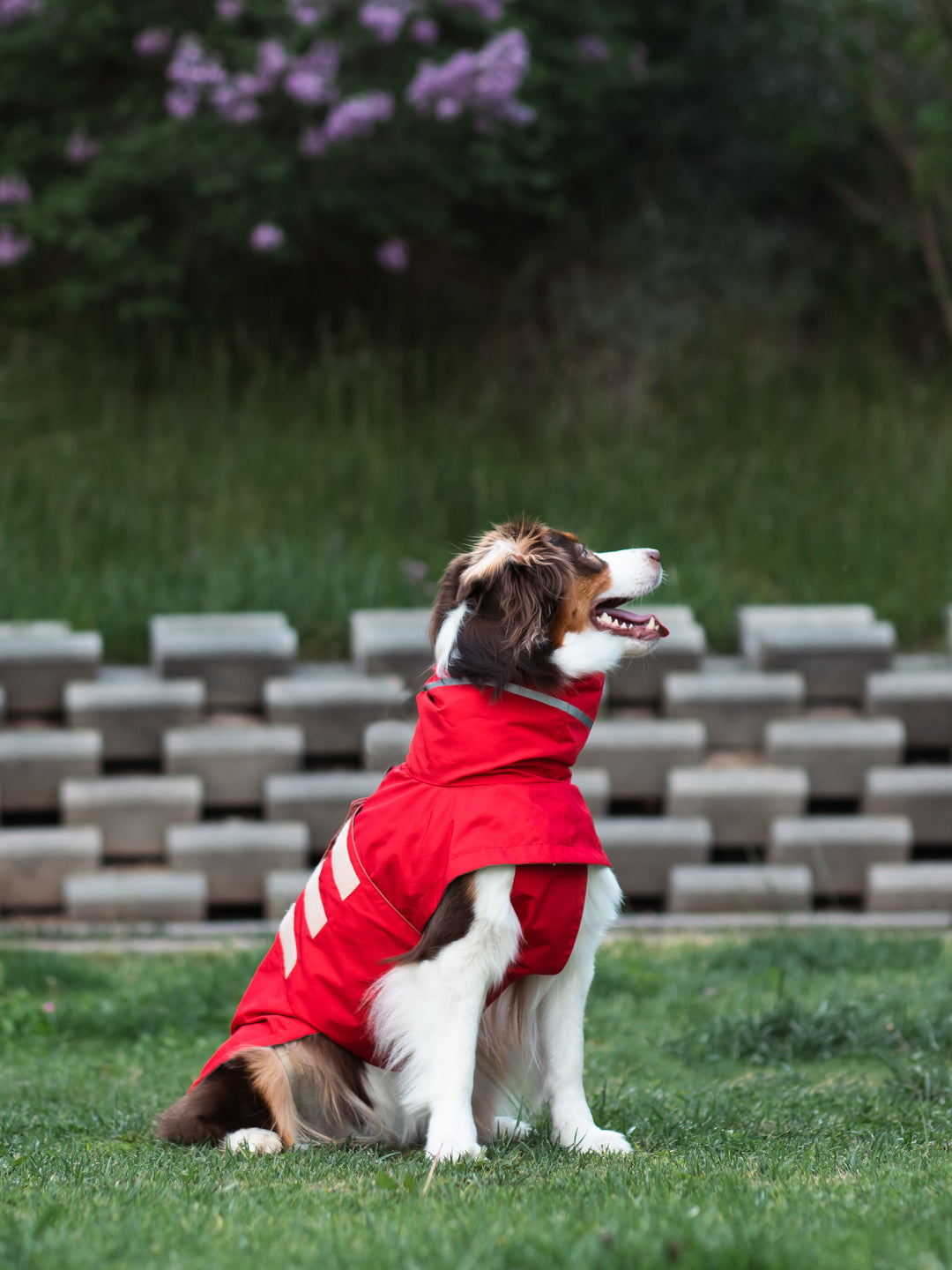 Raincoat | Scarlet Red