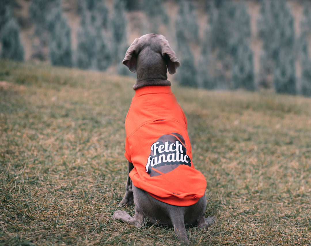 I am.. Sweatshirts Collection - Fetch Fanatic