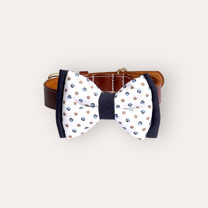 | Bow Tie | Blue Dots