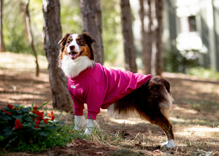 Turtleneck Tshirt | Magenta