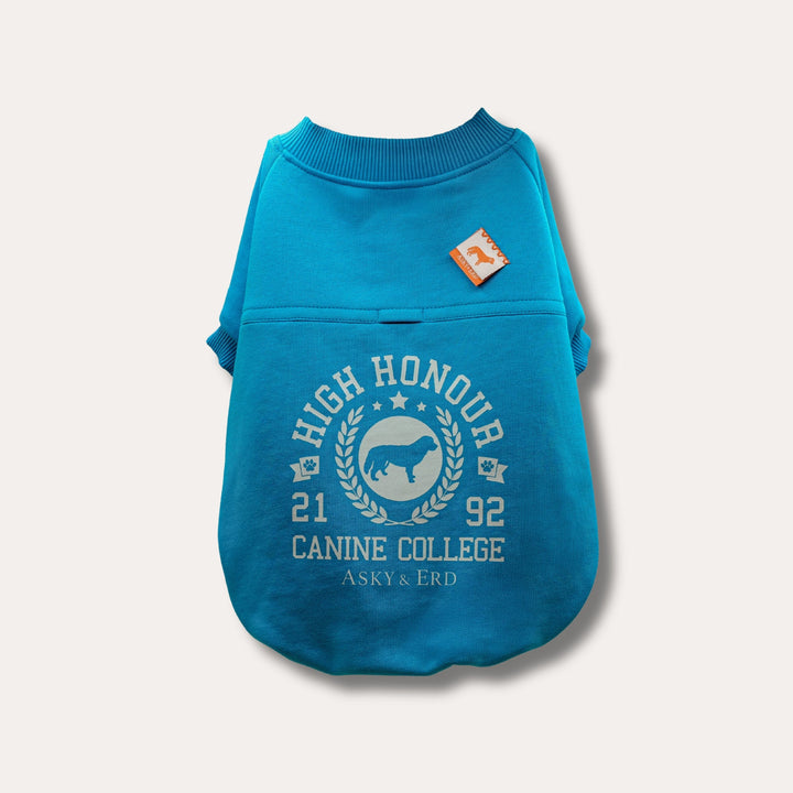 Canine College High Honour Sweatshirt | Turquoise Sprint