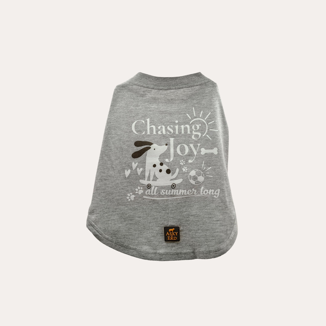 Chasing Joy | Urban Grey