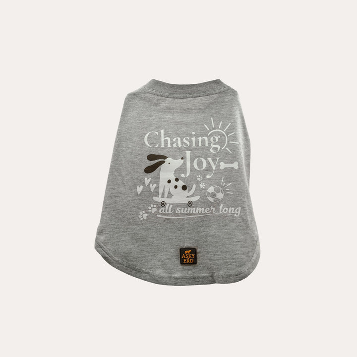 Chasing Joy | Urban Grey