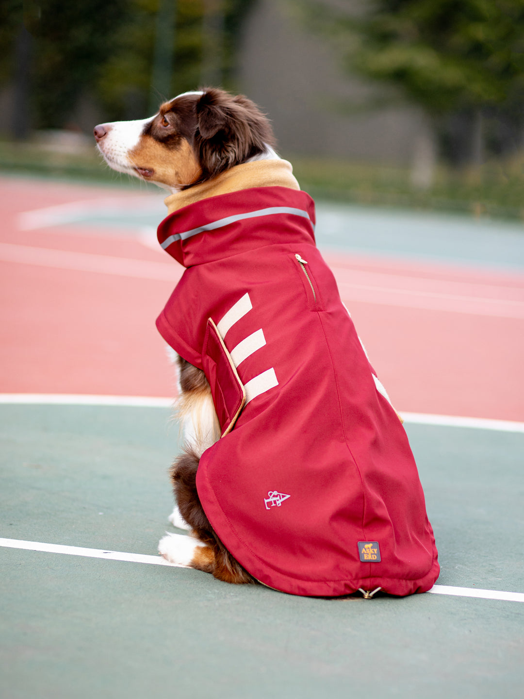 Extreme Wheather Coat | Maroon