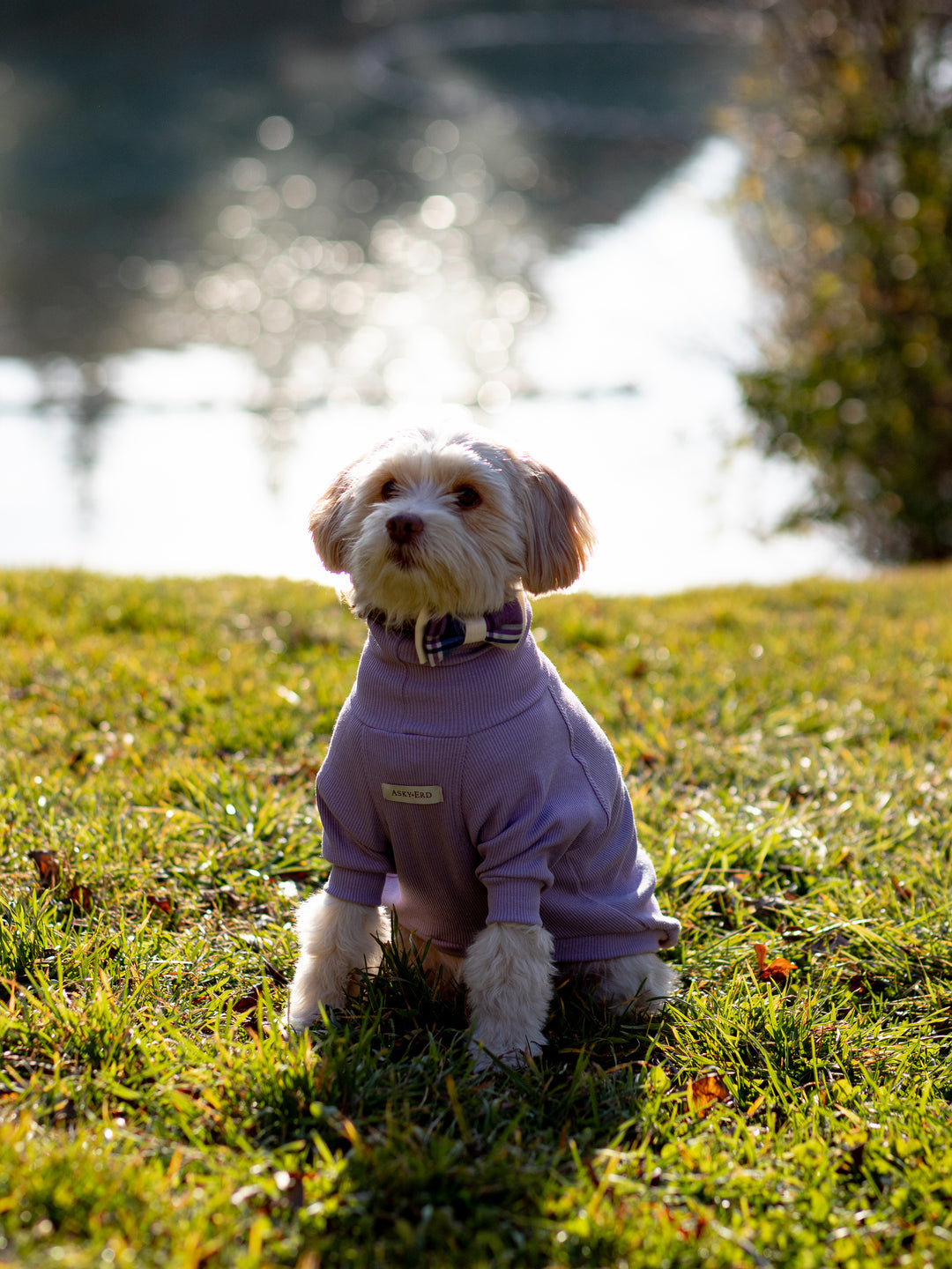 Turtleneck Tshirt | Lavender