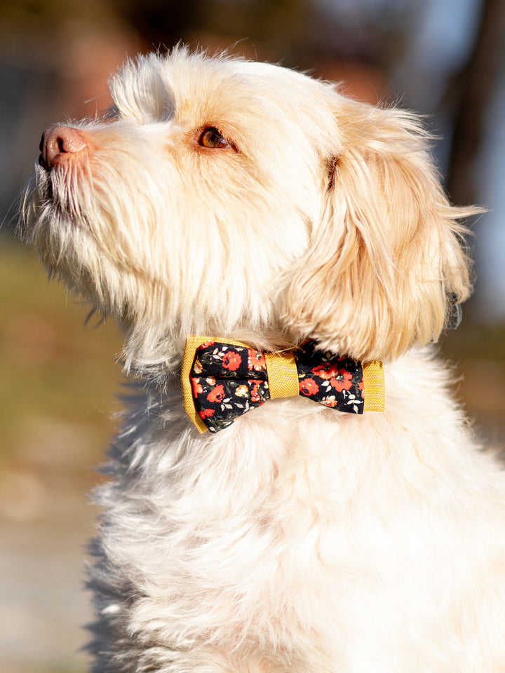 | Bow Tie | Red Flowers