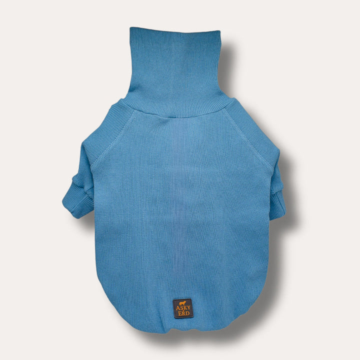 Turtleneck Tshirt | Powder Blue