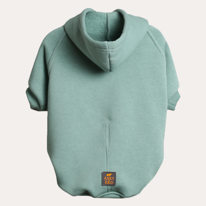 Soho Hoodie | Ocean Green