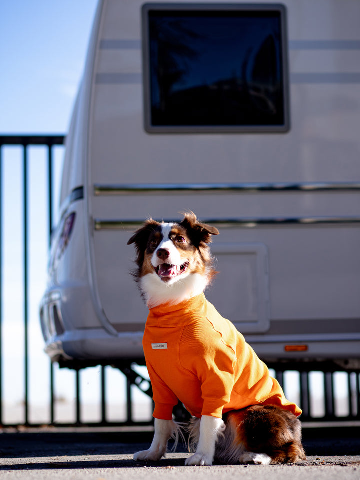 Turtleneck Tshirt | Tangerine