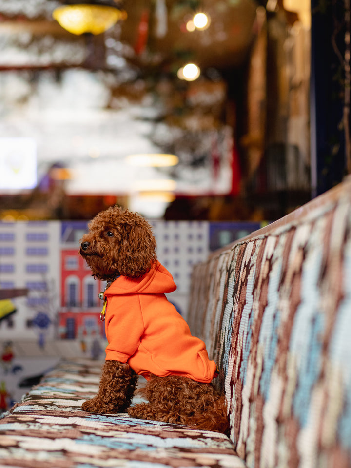 COZY HOODIE | TANGERINE