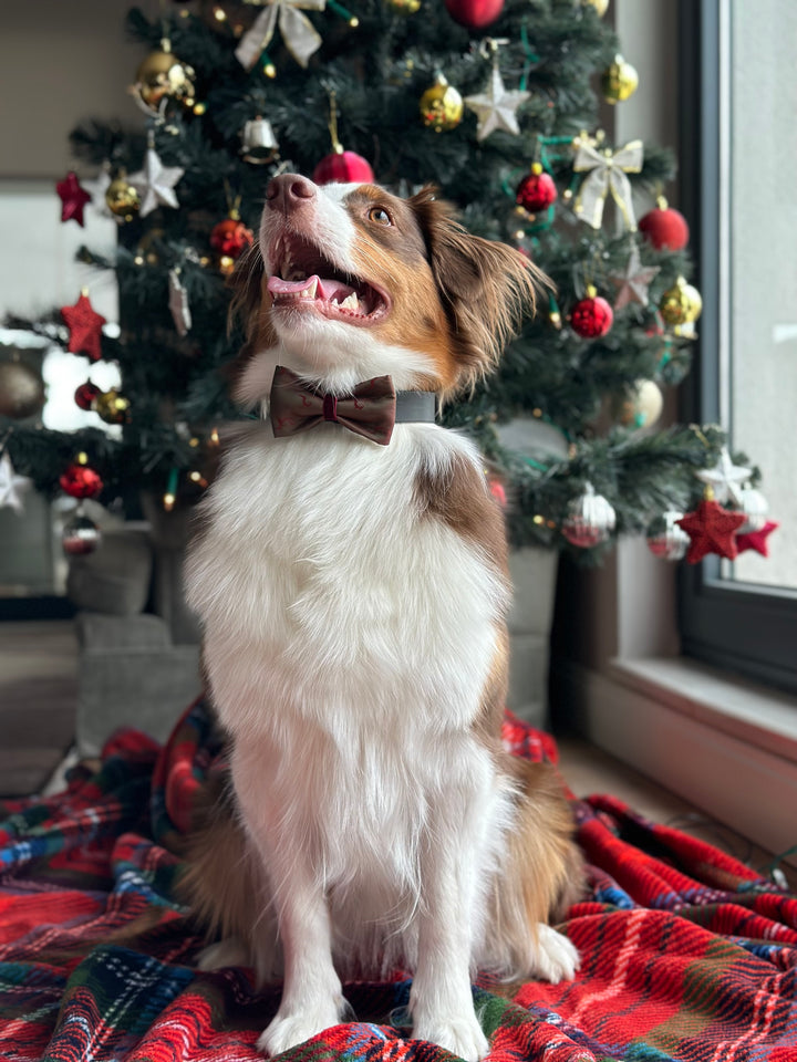 | Khaki Bordeaux Satin Bow Tie | Deers