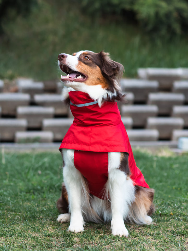 Raincoat | Scarlet Red