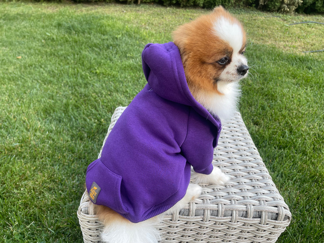 COZY HOODIE | VIOLET