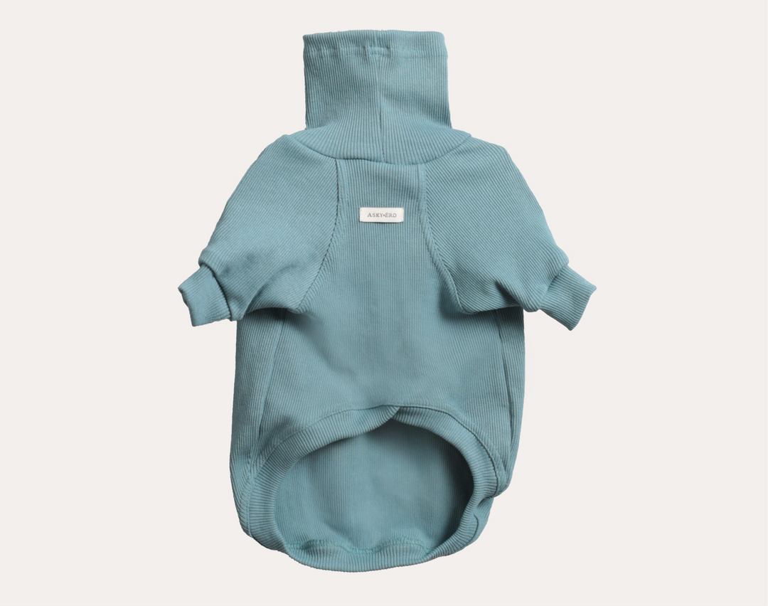 Turtleneck Tshirt | Ocean Sage