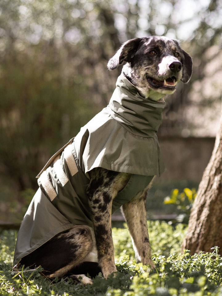 Raincoat | Juniper Green