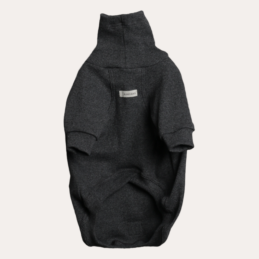 Turtleneck Tshirt | Graphite