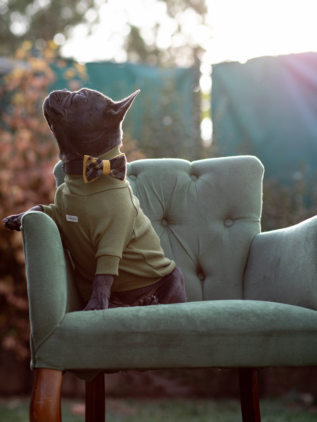 Turtleneck Tshirt | Olive Green