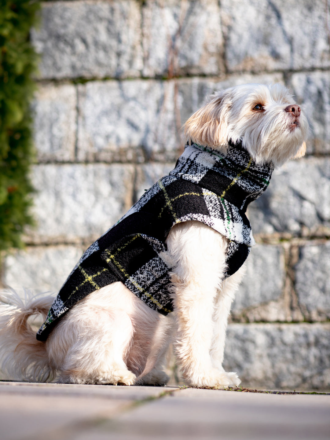 Chicago Vest | White Plaid