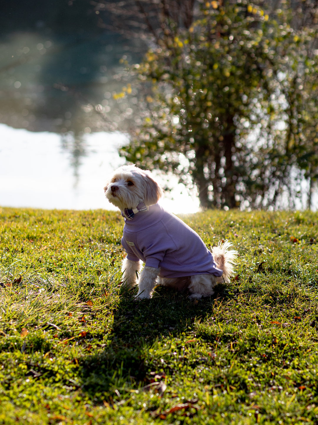 Turtleneck Tshirt | Lavender