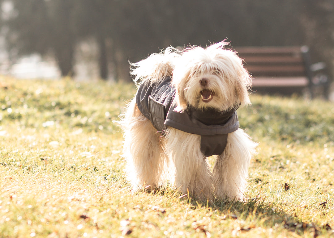 Extreme Wheather Coat | Cloudy Grey