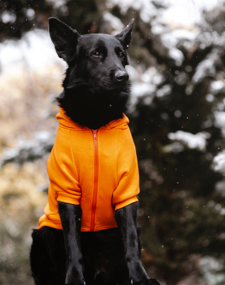 COZY HOODIE | TANGERINE