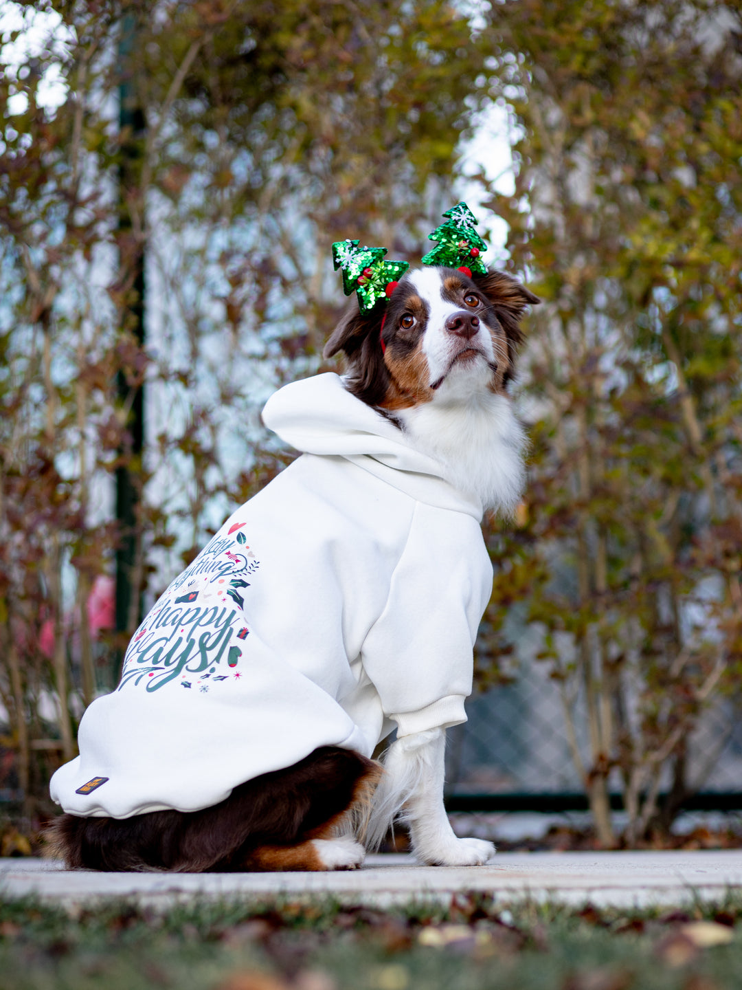 Woofmas Collection | Merry Everything