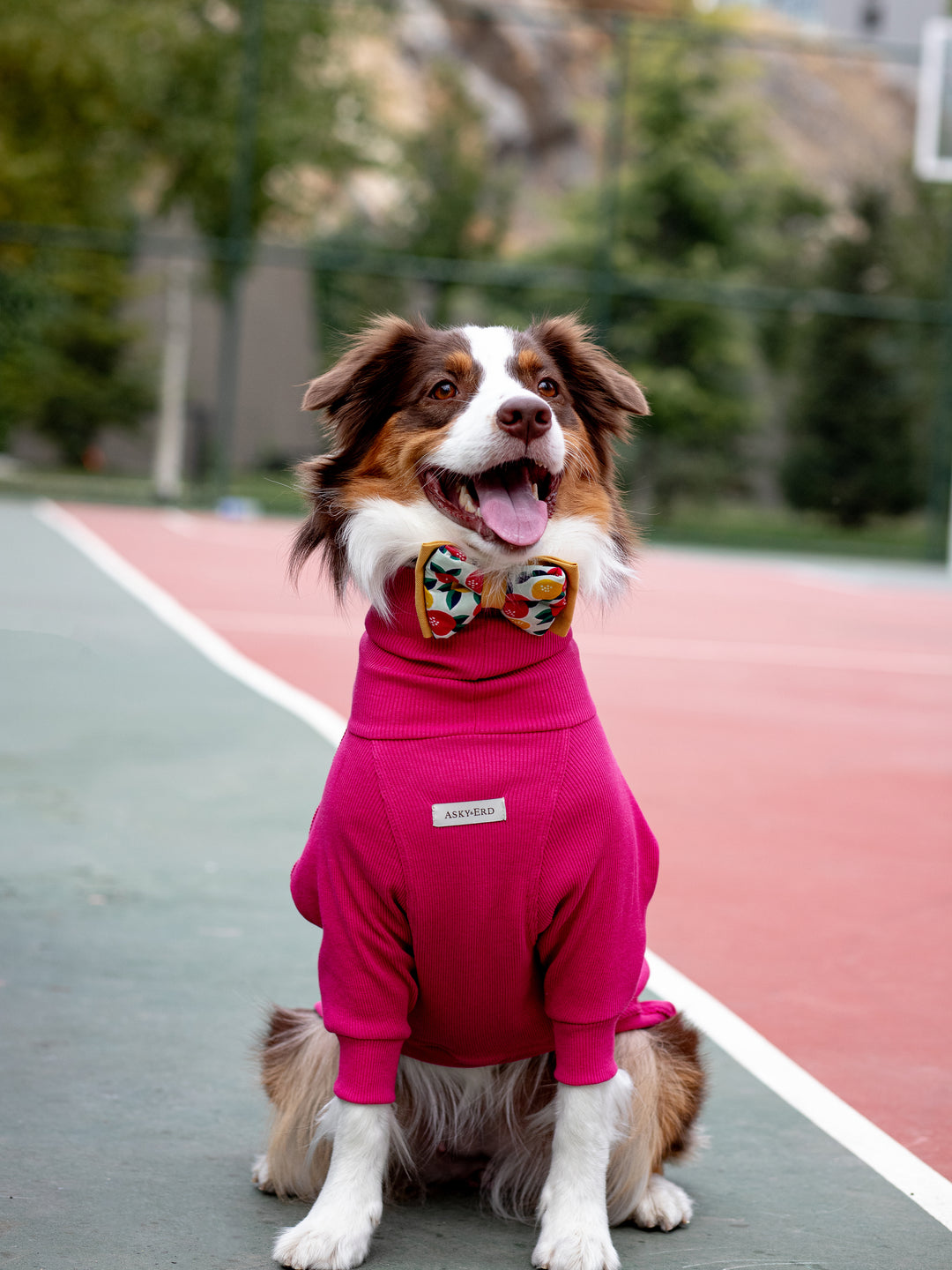 Turtleneck Tshirt | Magenta