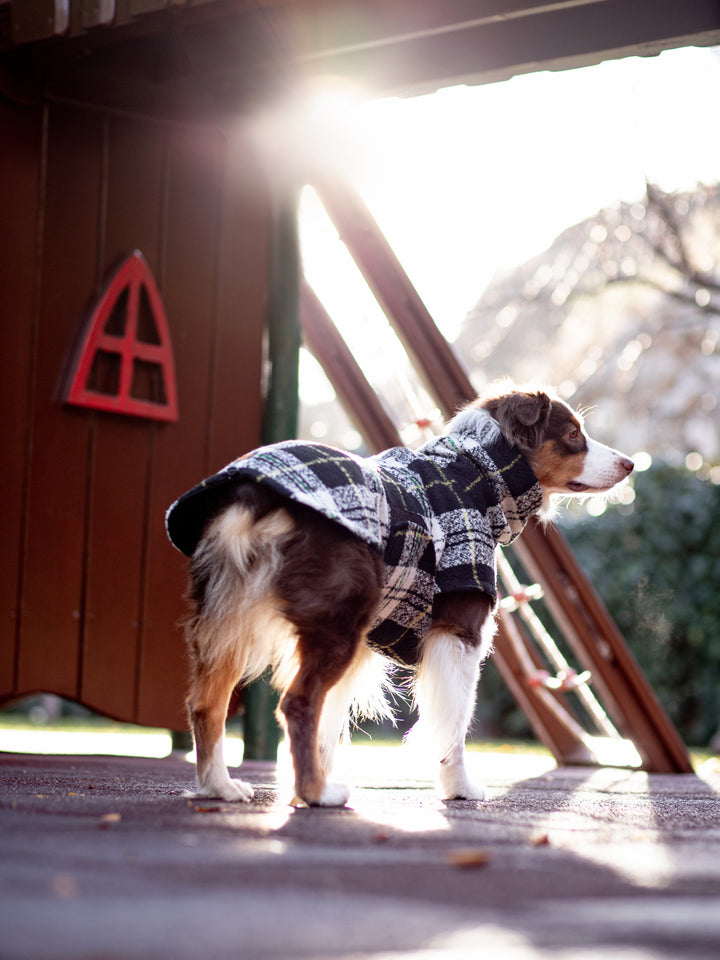 Chicago Vest | White Plaid