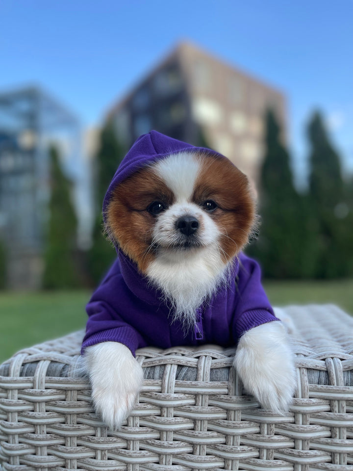 COZY HOODIE | VIOLET