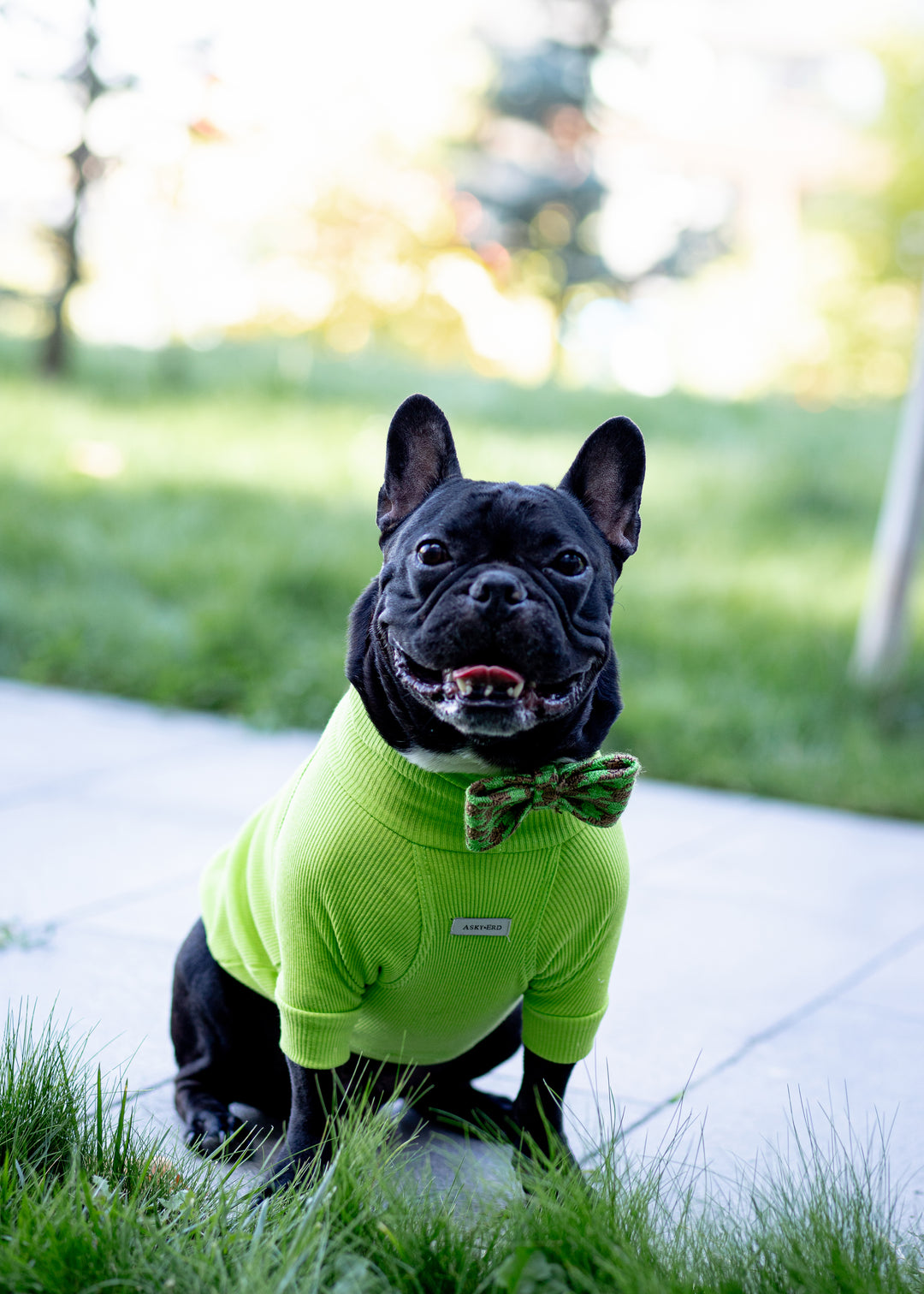 Turtleneck Tshirt | Lime